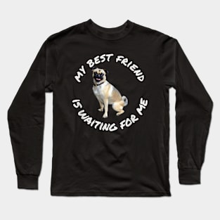 Puggle Puppy Dog My Best Friend Is Waiting Long Sleeve T-Shirt